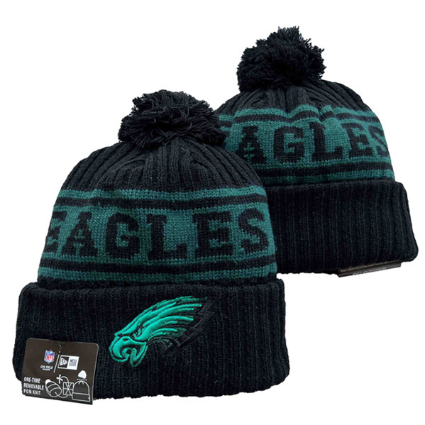 Philadelphia Eagles Knit Hats 075